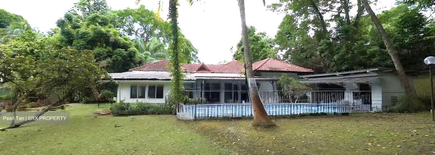 Leedon Park (D10), Detached #624512651